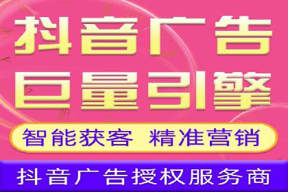 竞价SEM案例分享：行业霸主崛起之路
